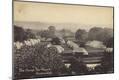 Photographic Print