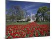 Premium Photographic Print