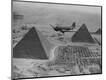 Photographic Print