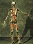 Deep Muscular System of the Back of the Body-Arnauld Eloi Gautier D'agoty-Framed Giclee Print