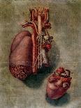 The Heart, Plate from Anatomy of the Visceras-Arnauld Eloi Gautier D'agoty-Giclee Print