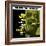 Arnett Cobb - Blow Arnett, Blow-null-Framed Art Print