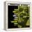 Arnett Cobb - Blow Arnett, Blow-null-Framed Stretched Canvas