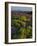 Arnica and Broken Rocks on Ridge Near Mount Isabel, Bridger National Forest, Wyoming, USA-Scott T. Smith-Framed Photographic Print