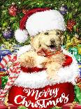 New Christmas puppy-Arnica Burnstone-Giclee Print