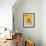 Arnica Flower-null-Framed Photographic Print displayed on a wall