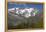 Arnica Montana And Mont Blanc-Bob Gibbons-Framed Premier Image Canvas