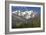 Arnica Montana And Mont Blanc-Bob Gibbons-Framed Photographic Print