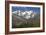 Arnica Montana And Mont Blanc-Bob Gibbons-Framed Photographic Print