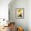 Arnica-Ursula Abresch-Framed Photographic Print displayed on a wall