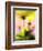 Arnica-Ursula Abresch-Framed Photographic Print