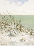 Seaside Bluff  -Arnie Fisk-Art Print