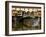 Arno River and Ponte Vecchio, Florence, UNESCO World Heritage Site, Tuscany, Italy, Europe-Richard Cummins-Framed Photographic Print