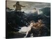 Stretched Canvas Print