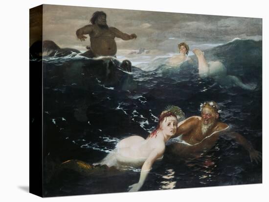Stretched Canvas Print, , large
