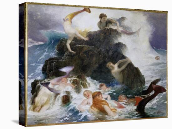 Stretched Canvas Print, , large