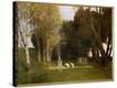 Stretched Canvas Print