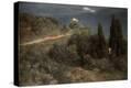 Stretched Canvas Print