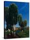 Stretched Canvas Print