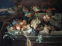 A Still Life with Grapes and Peaches on a Stone Ledge in a Landscape-Arnold Boonen-Giclee Print