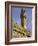 Arnolfo Tower at Palazzo Vecchio-Danny Lehman-Framed Photographic Print