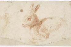 Etude de héron et de lapin-Arnould de Vuez-Giclee Print