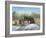 Arnprior Nursing Home-Kevin Dodds-Framed Giclee Print