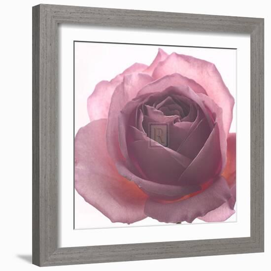 Aroma II-Katja Marzahn-Framed Art Print