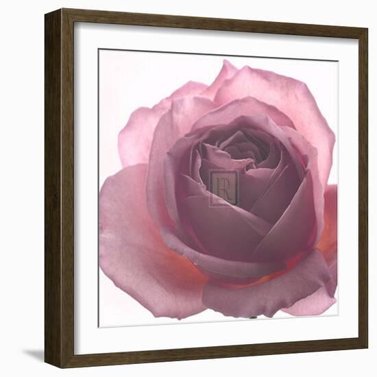 Aroma II-Katja Marzahn-Framed Art Print