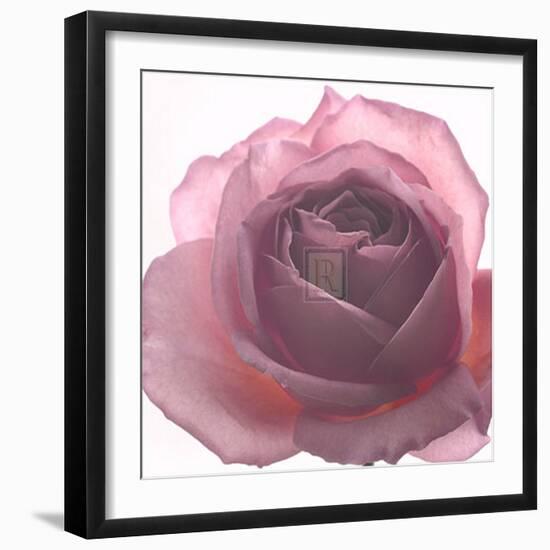 Aroma II-Katja Marzahn-Framed Art Print