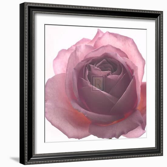 Aroma II-Katja Marzahn-Framed Art Print