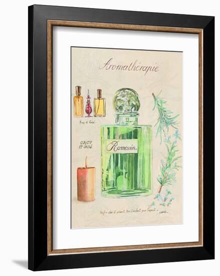 Aromatherapie, Romarin-Laurence David-Framed Art Print