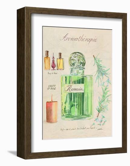 Aromatherapie, Romarin-Laurence David-Framed Art Print