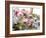 Aromatherapy Ingredients-Erika Craddock-Framed Photographic Print