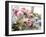 Aromatherapy Ingredients-Erika Craddock-Framed Photographic Print