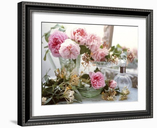 Aromatherapy Ingredients-Erika Craddock-Framed Photographic Print