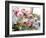 Aromatherapy Ingredients-Erika Craddock-Framed Photographic Print