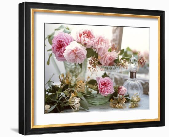 Aromatherapy Ingredients-Erika Craddock-Framed Photographic Print