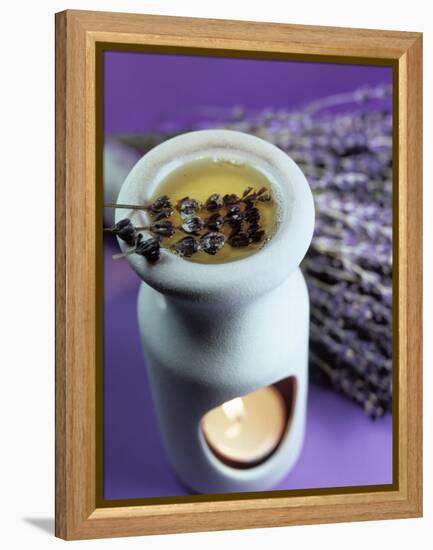 Aromatherapy-Lawrence Lawry-Framed Premier Image Canvas