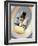 Aromatherapy-Steve Horrell-Framed Photographic Print