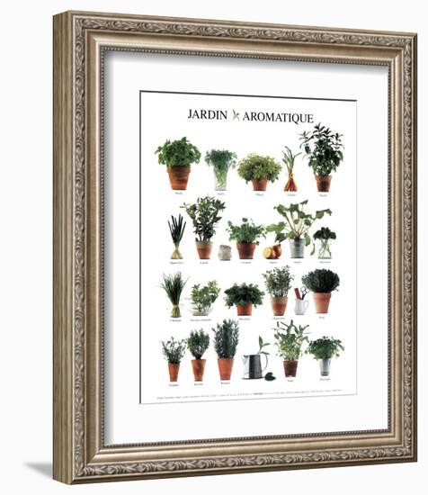 Aromatic Garden-null-Framed Art Print