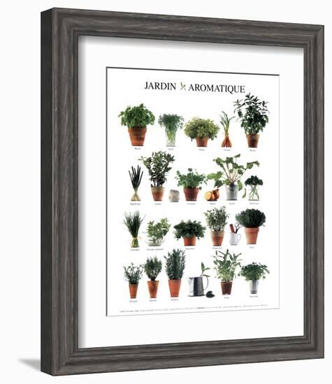 Aromatic Garden-null-Framed Art Print