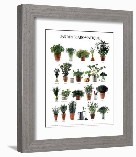 Aromatic Garden-null-Framed Art Print