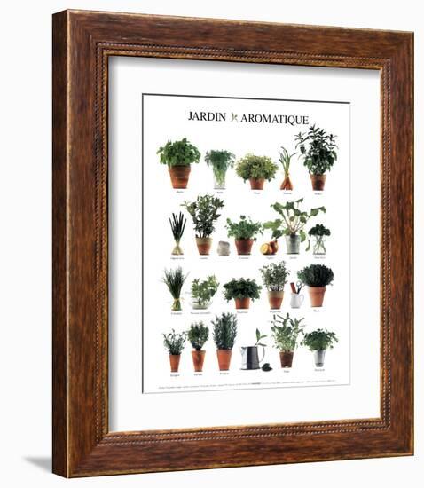 Aromatic Garden-null-Framed Art Print