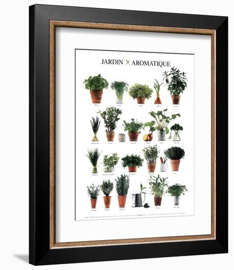 Aromatic Garden-null-Framed Art Print