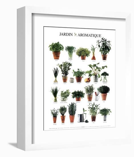 Aromatic Garden-null-Framed Art Print