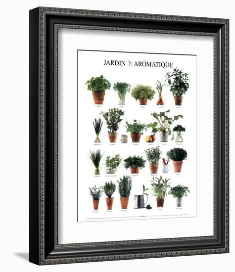 Aromatic Garden-null-Framed Art Print