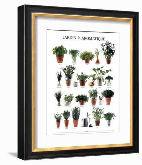 Aromatic Garden-null-Framed Art Print