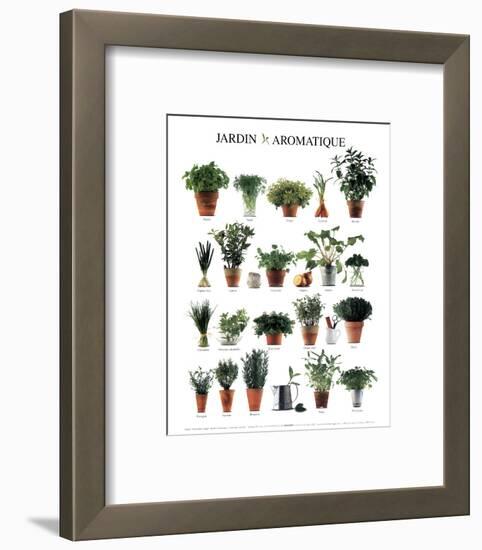 Aromatic Garden-null-Framed Art Print