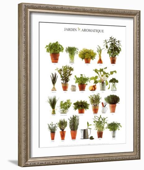 Aromatic Garden-null-Framed Art Print